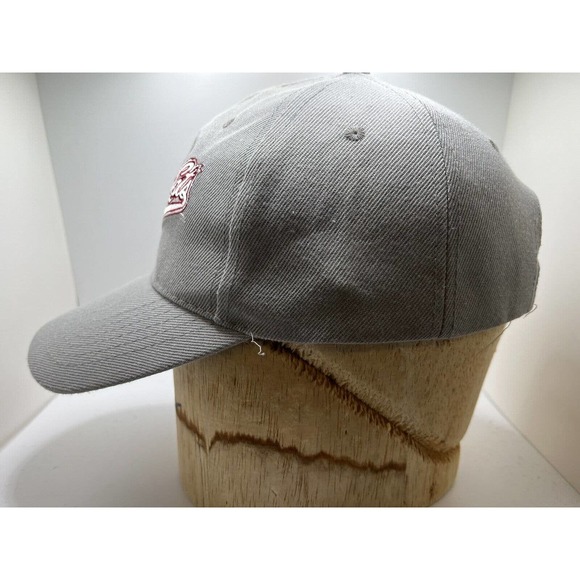 Sacramento River Cats Adjustable Strapback Dad Hat MiLB - Picture 3 of 7